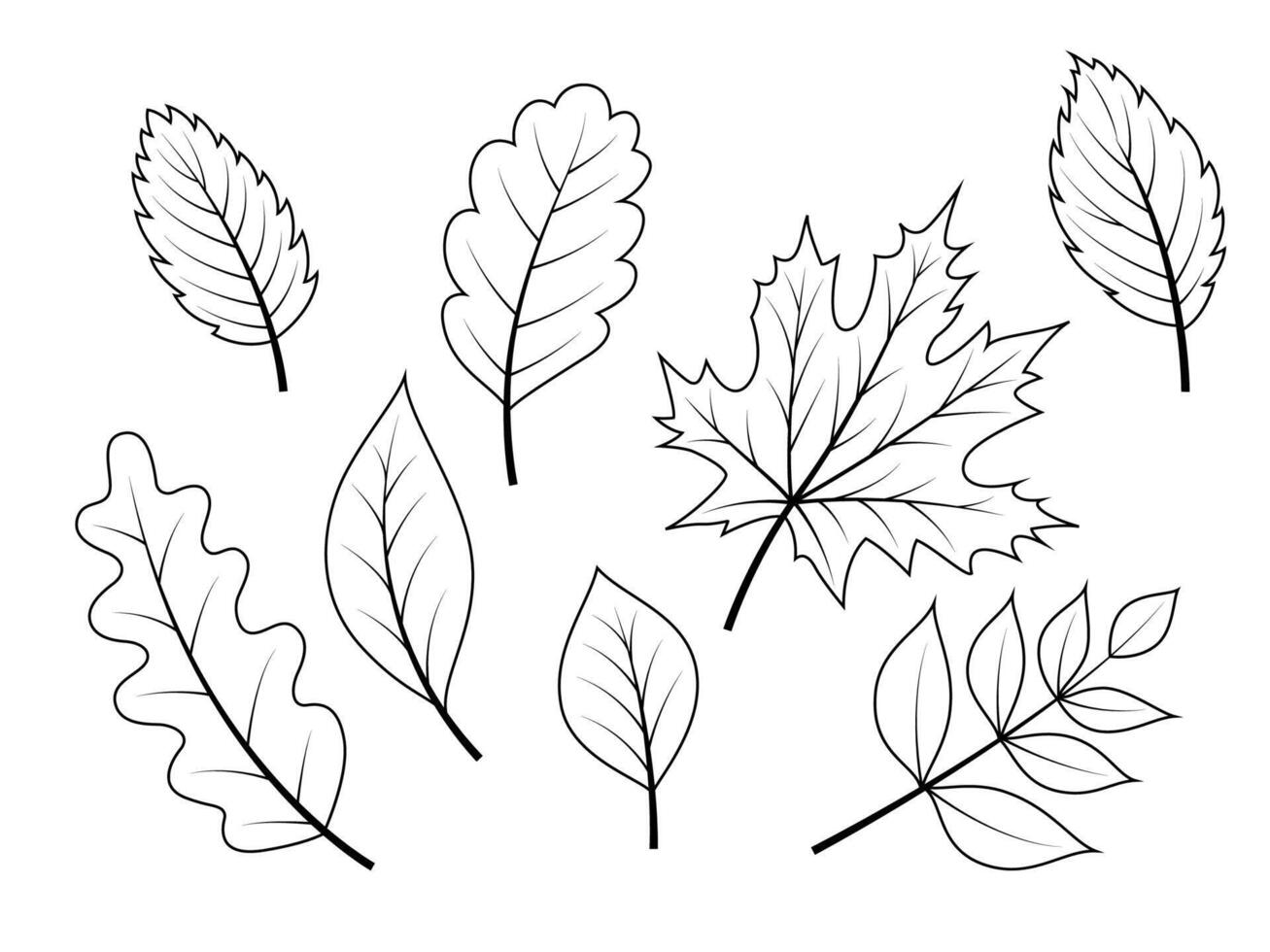 Linear hand drawn autumn leaves collection. Outline nature elements for coloring isolated on white vector
