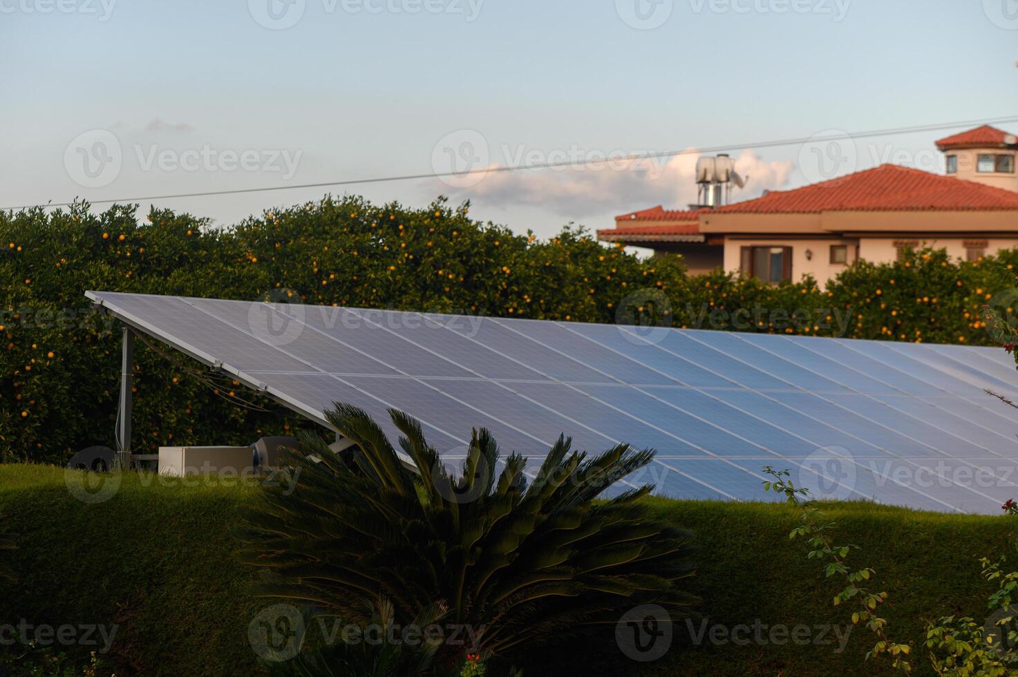 Solar panels gleam under a sunny sky beside a lush garden in a suburban neighborhood photo