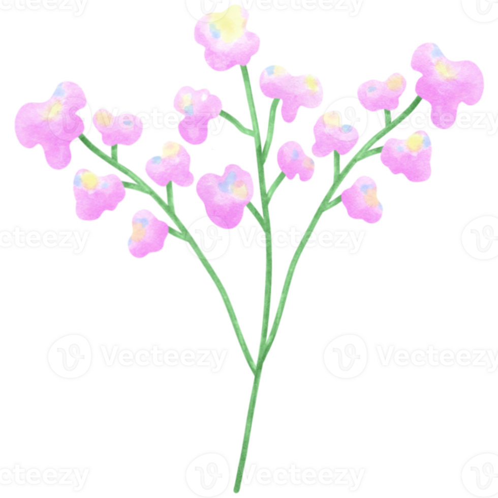 pastel pink cartoon png