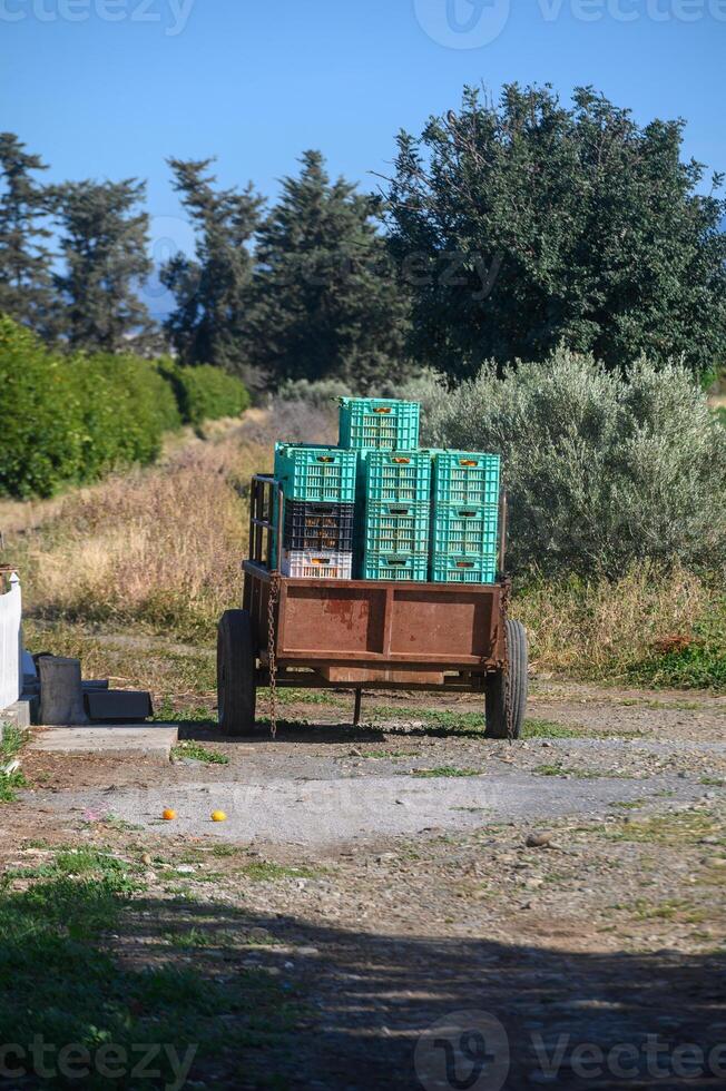 Loaded cart travels through lush farmland under a clear blue sky, showcasing rural life and agricultural beauty photo