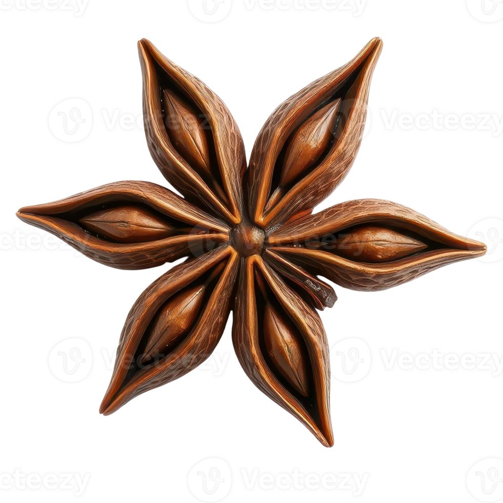 Aromatic Star Anise with Natural Seeds for Food and Botanical Illustrations png