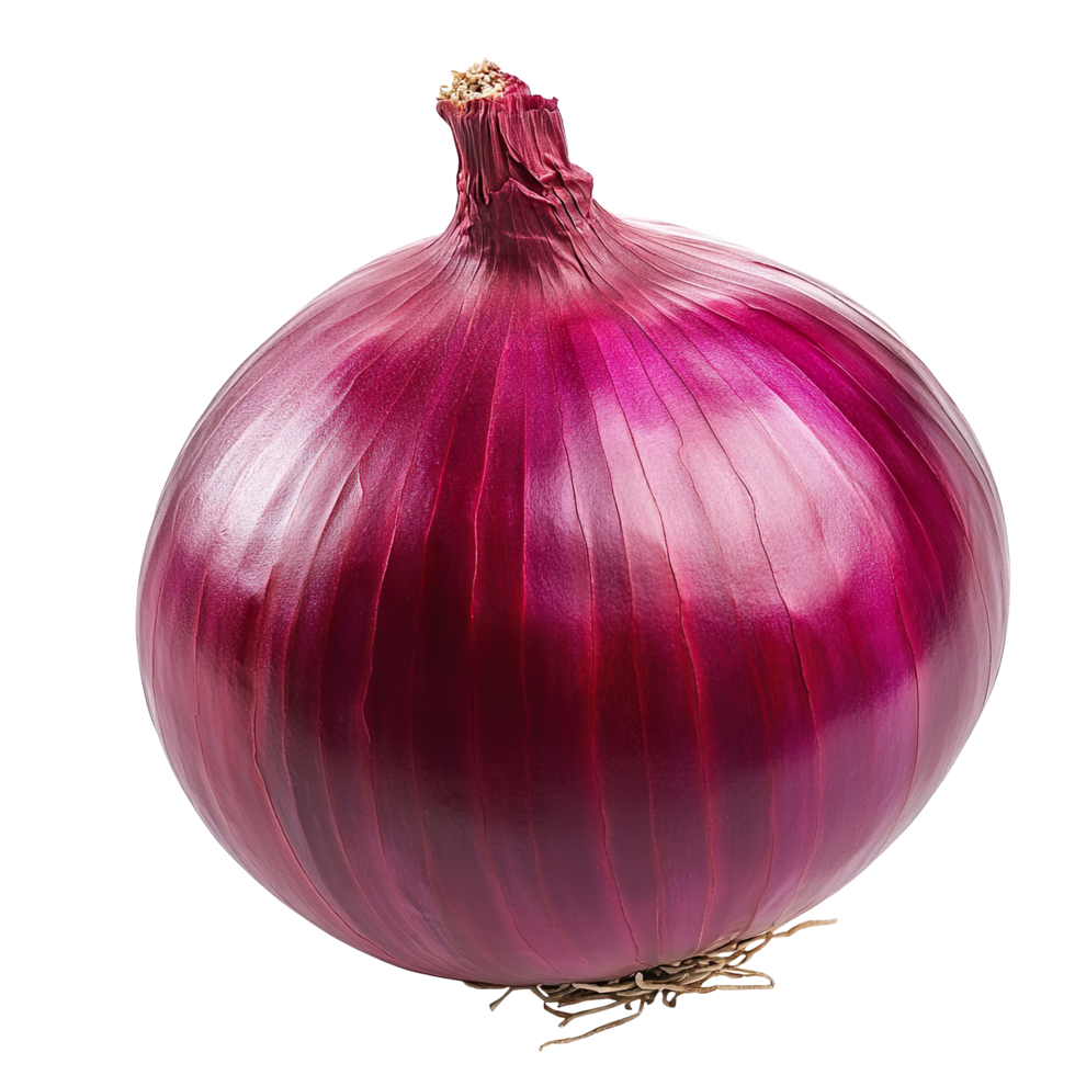 A red onion isolated on a transparent background png