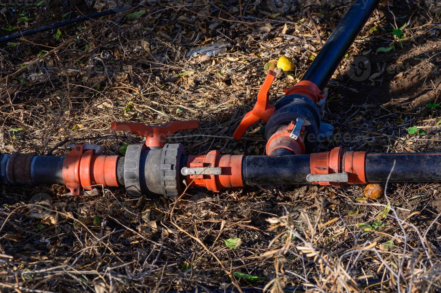Plastic Water Pipes with T-Joint in Garden photo