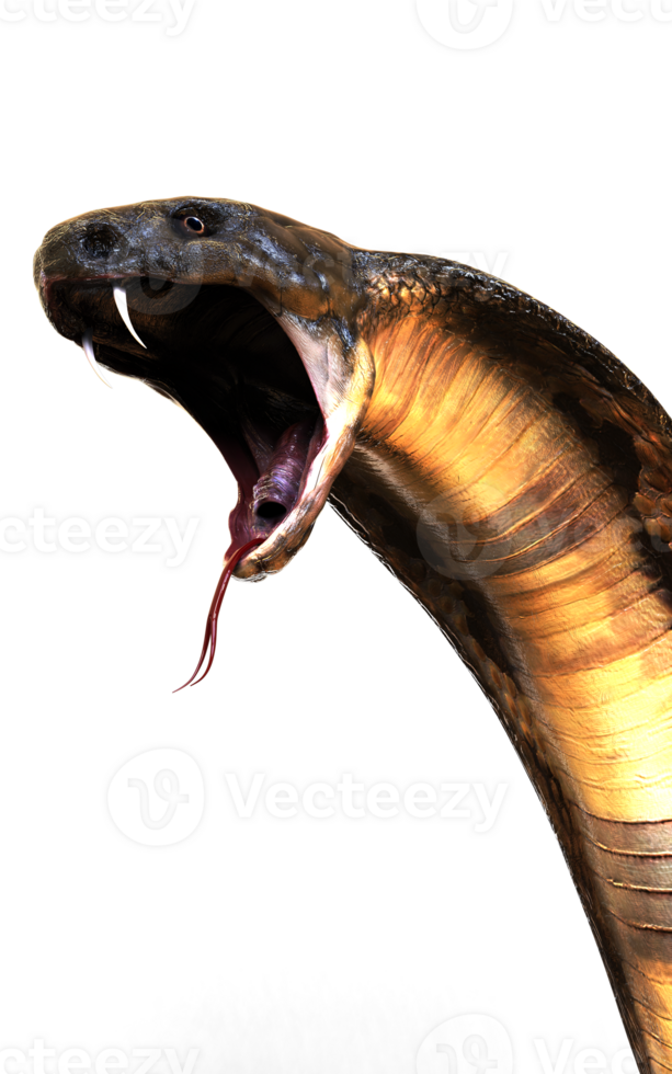3d Illustration of The Majestic Cobra Elegance and Danger Attack Pose png