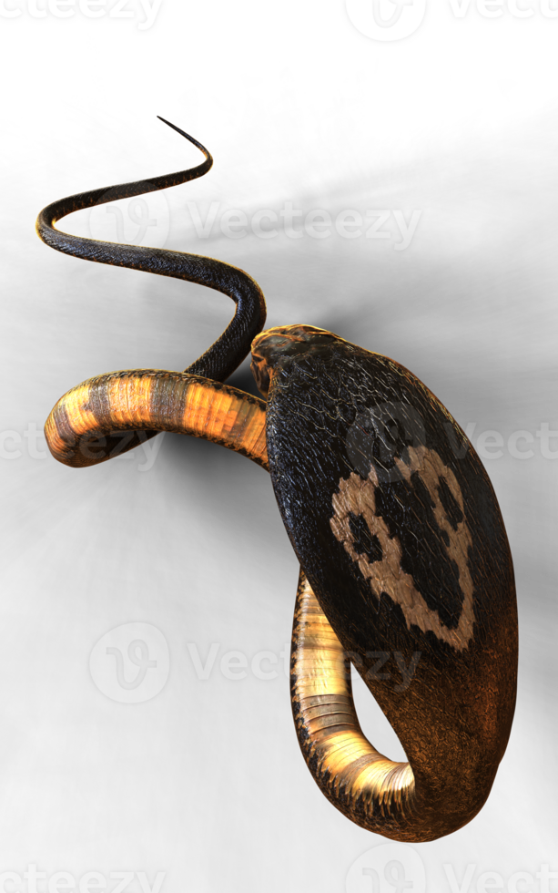 3d Illustration of The Majestic Cobra Elegance and Danger png