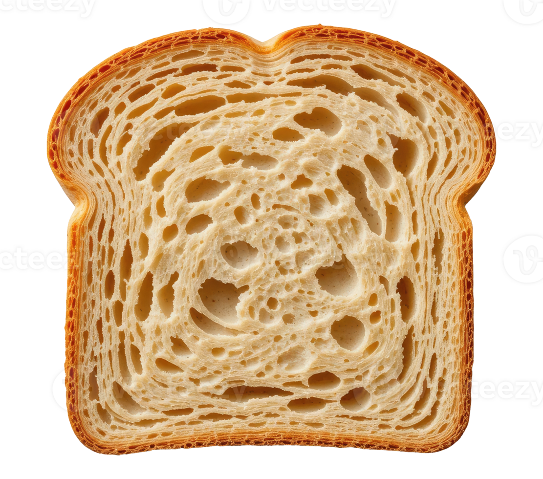 Crispy Edged Bread Slice Isolated for Design Use png