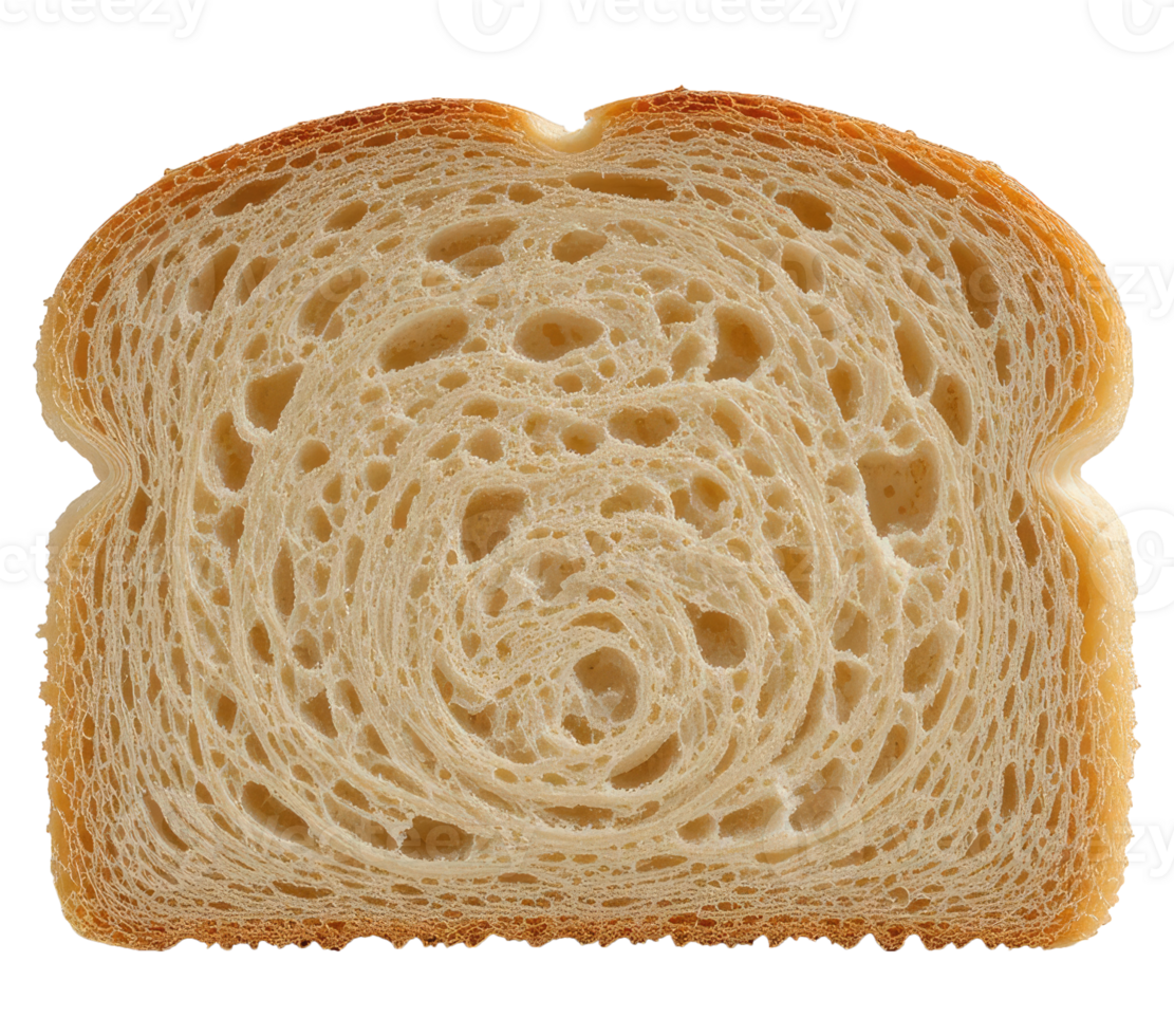 Rustic Bread Slice with Soft Center and Crunchy Edge png