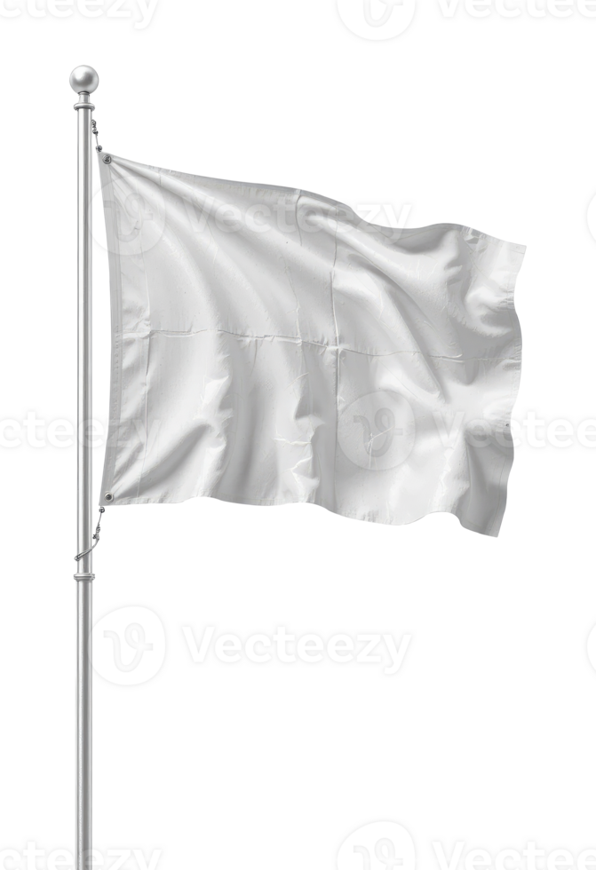 Blank Waving Flag on Metal Pole Isolated png