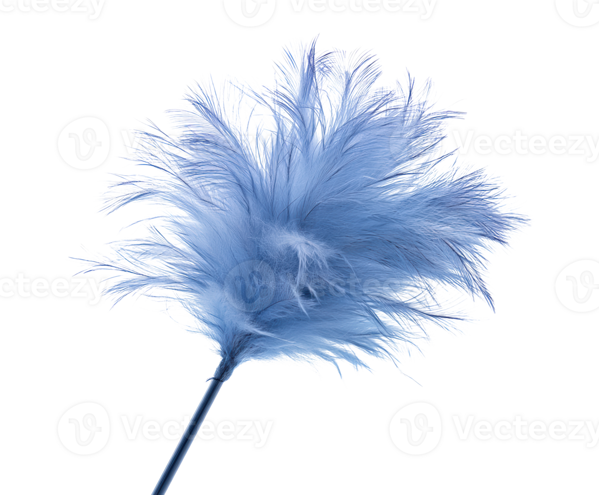 Soft blue feather duster for cleaning and home decoration png