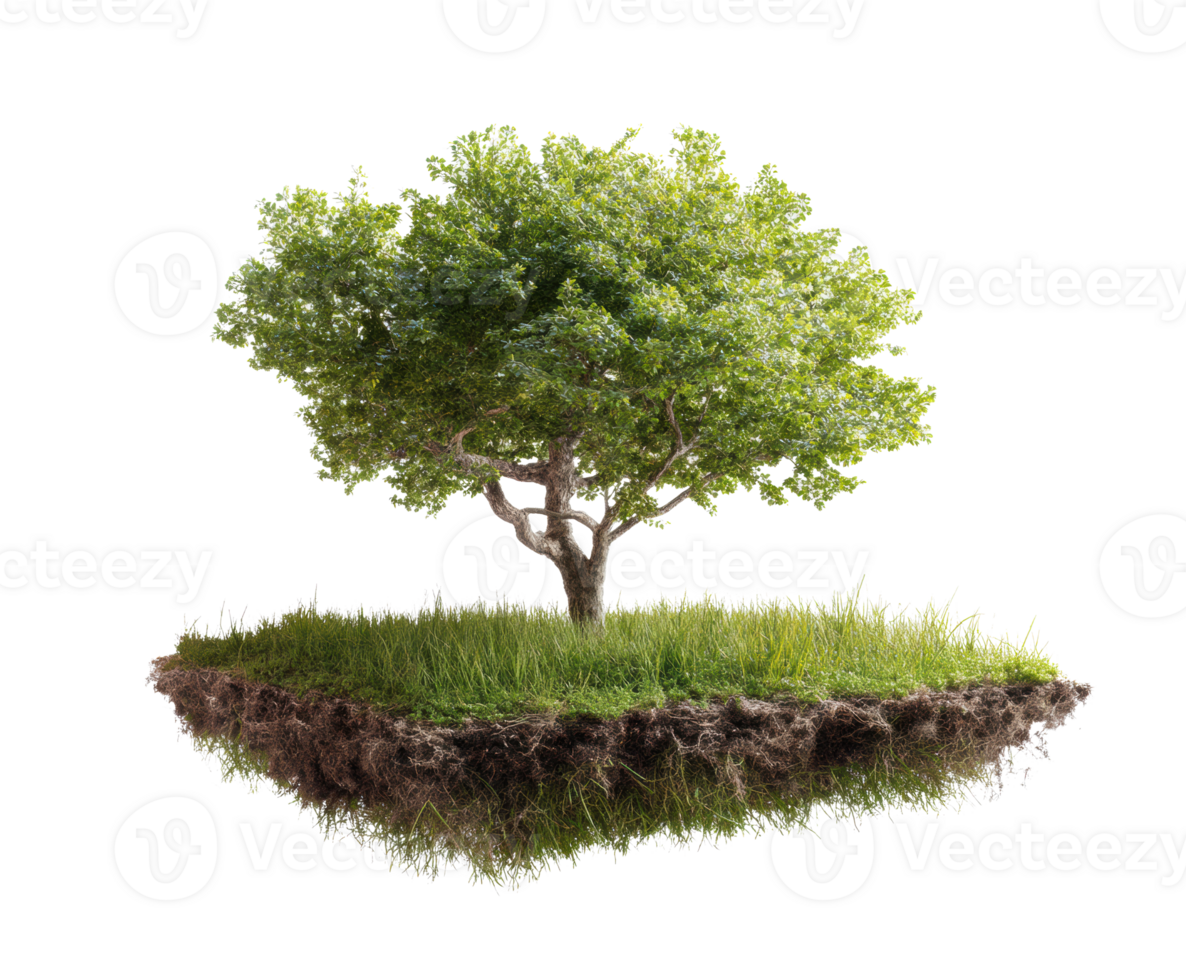 Lush green tree on floating island with grass beneath png
