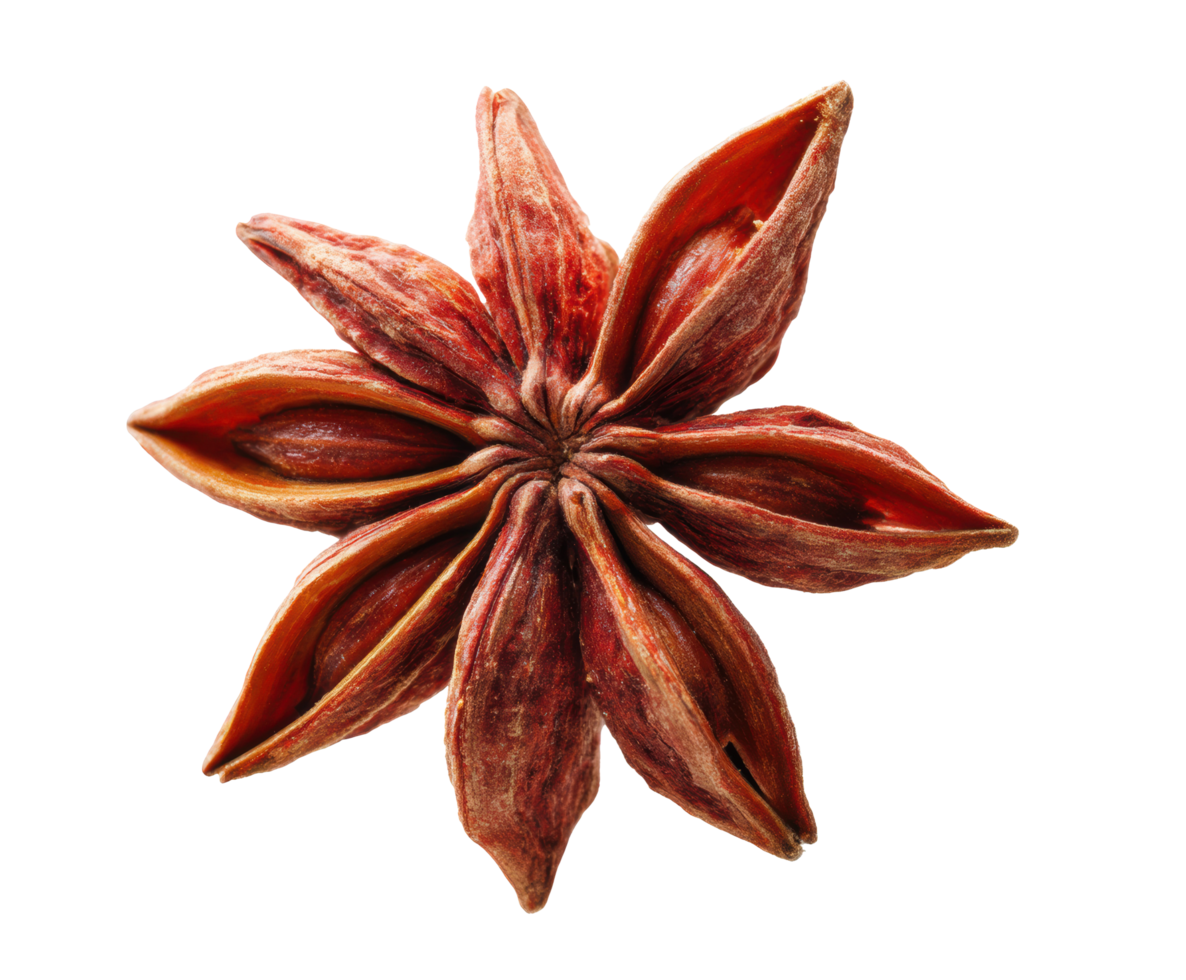 Star anise spice for culinary use in cooking and baking png