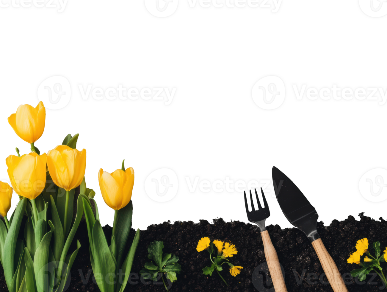 Gardening tools and yellow tulips in soil for spring planting png