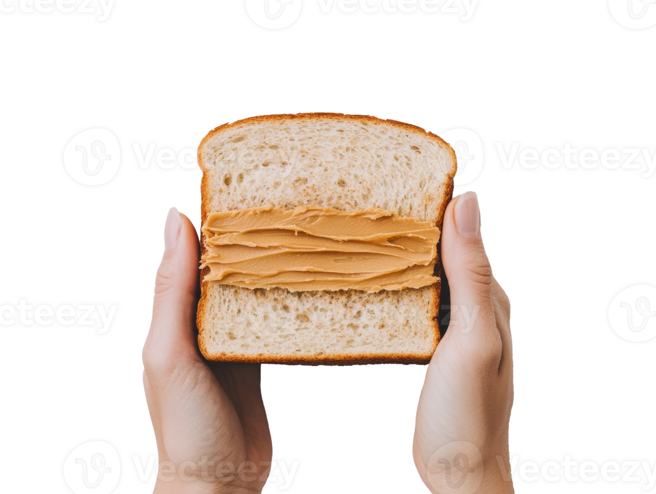 Peanut butter sandwich held by hands with soft bread texture png
