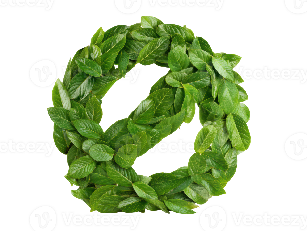 Green wreath made from fresh leaves for eco-friendly decor png