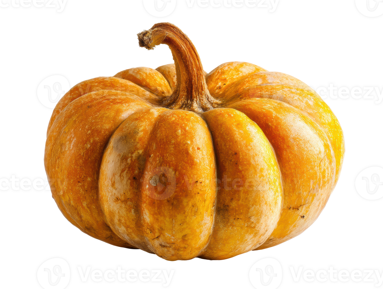 Beautiful pumpkin for autumn decorations and seasonal recipes png