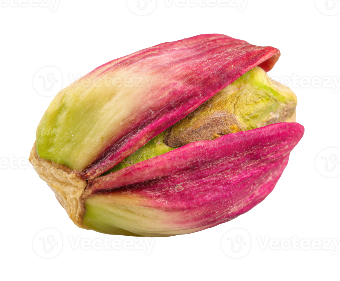 Fresh pistachio nut with bright green and purple shell png