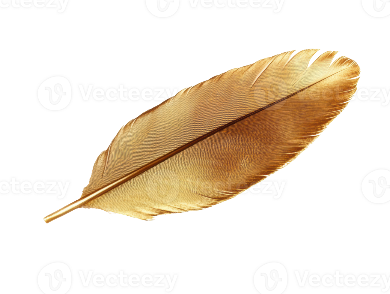 Elegant golden feather for decorative and artistic purposes png