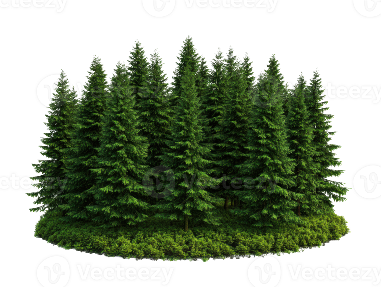 Lush evergreen forest surrounded by greenery for outdoor projects png