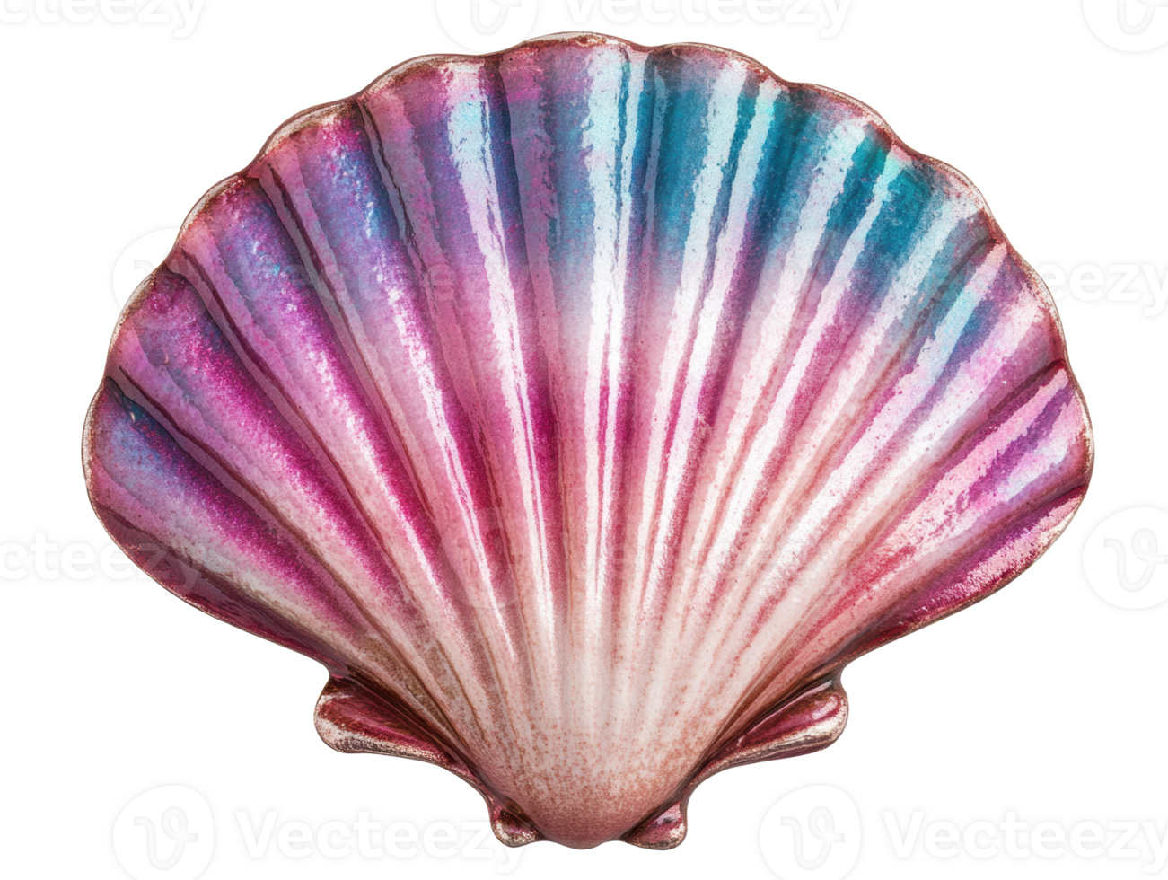 Colorful shell with shimmering hues for beach decor and design png