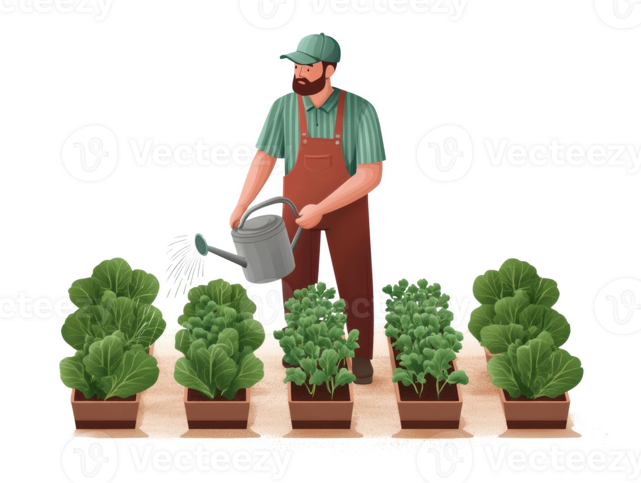 Urban gardening with a man watering vegetable plants in planters png