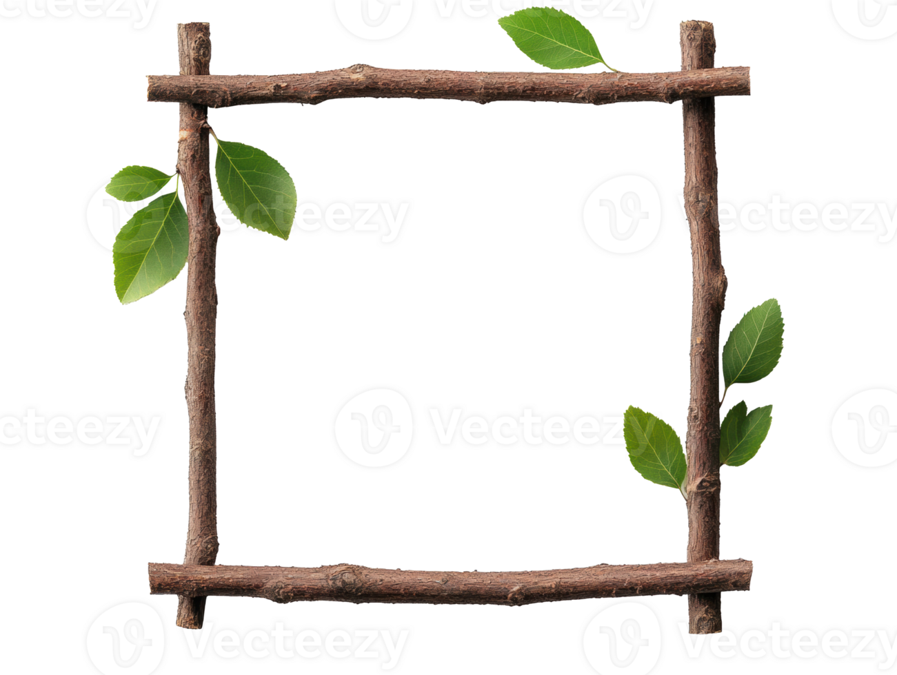 Natural frame with branches and green leaves for creative design png