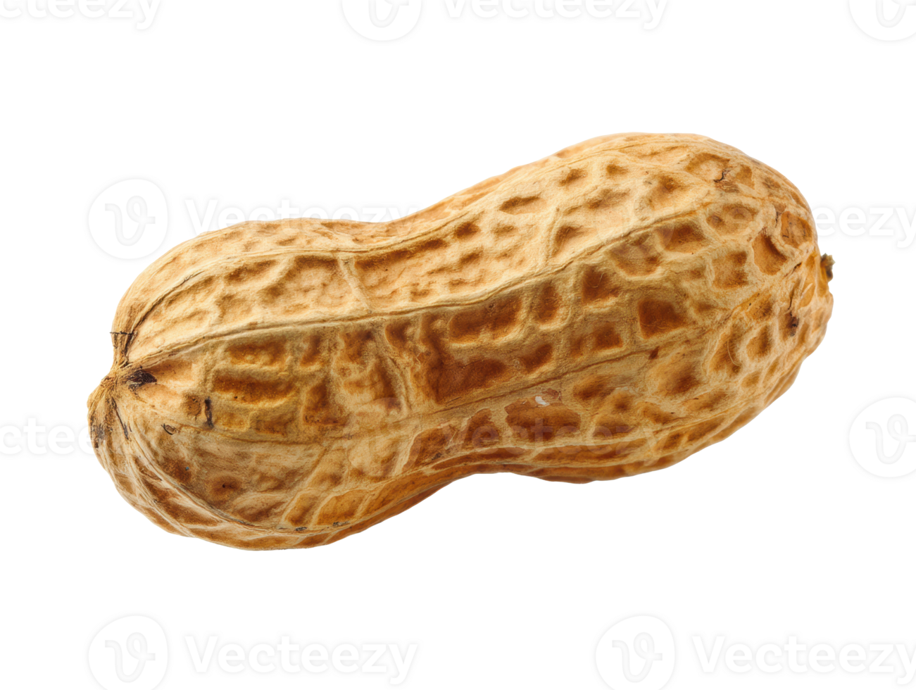 Freshly harvested peanut ready for roasting or snacking enjoyment png