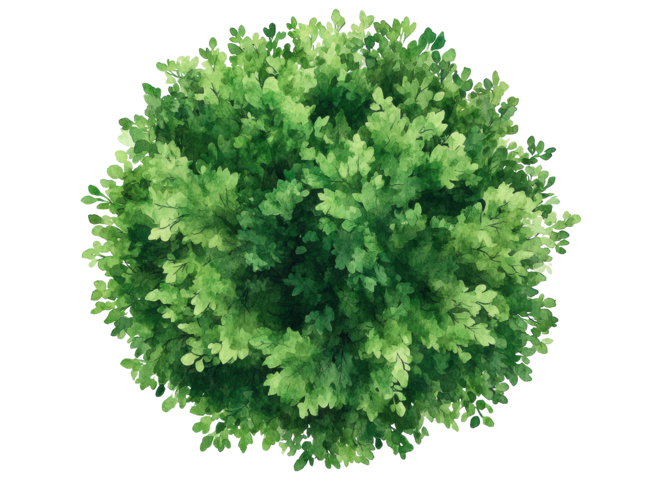Lush green foliage top view for nature concept and design purpose png