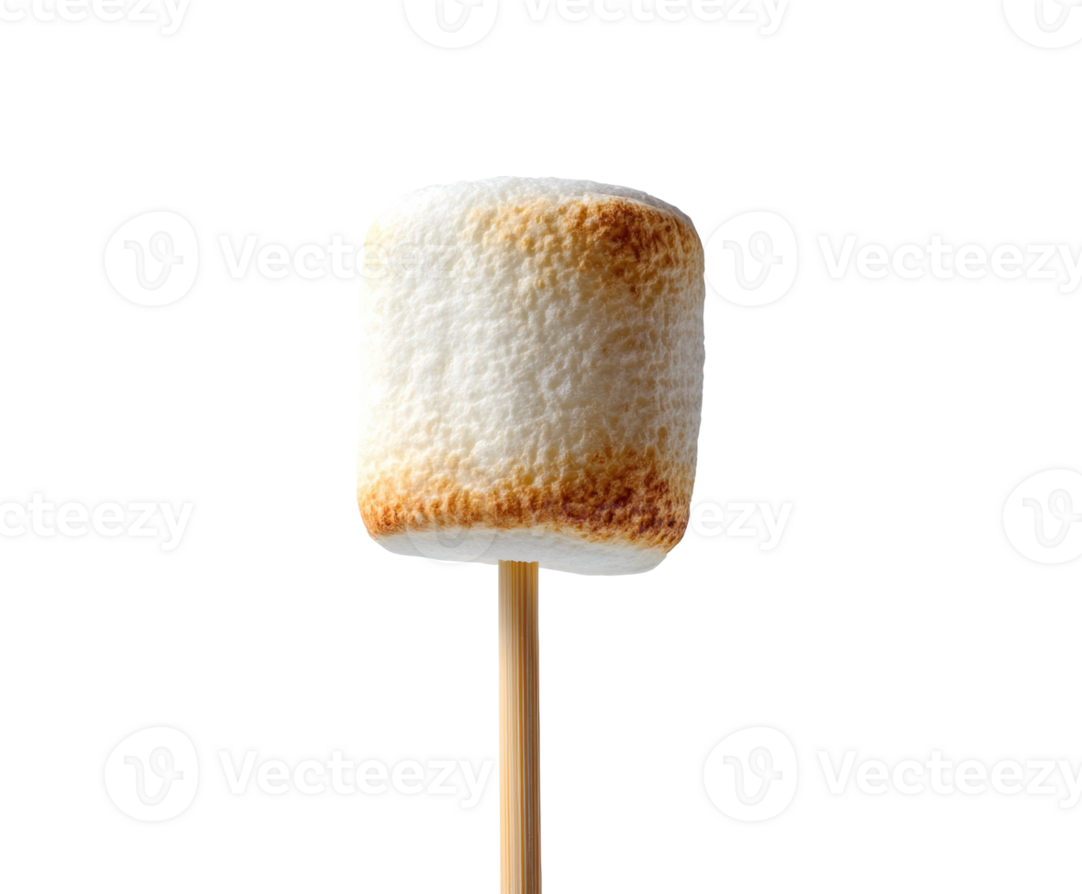 Perfectly toasted marshmallow on a skewer for outdoor gatherings png