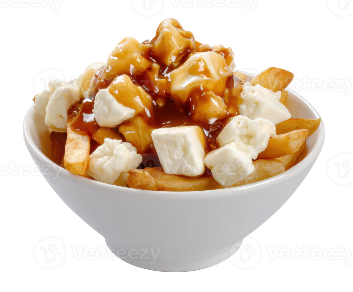 Delicious poutine with fries, gravy, and cheese curds served in a bowl png