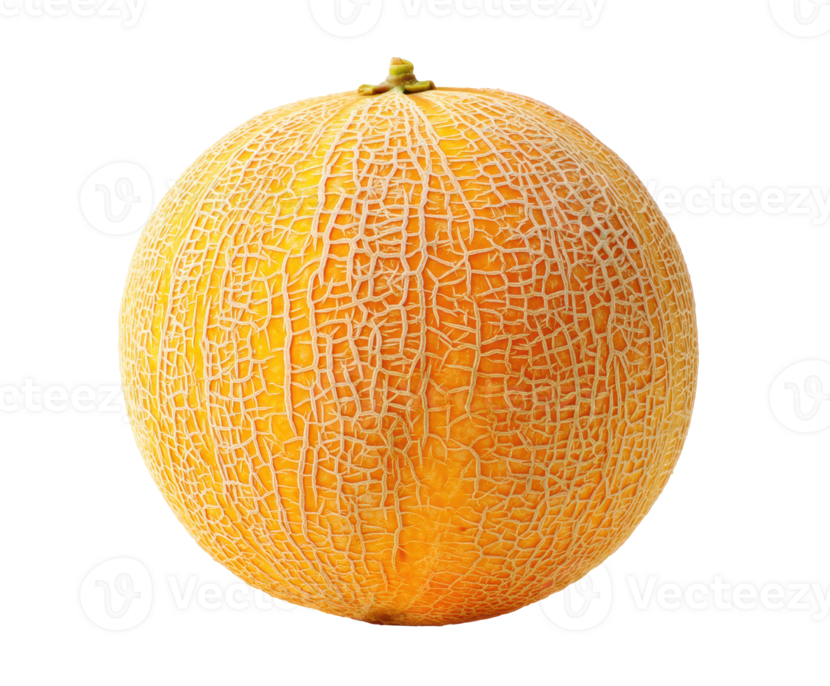 Fresh cantaloupe with textured rind for culinary uses and recipes png
