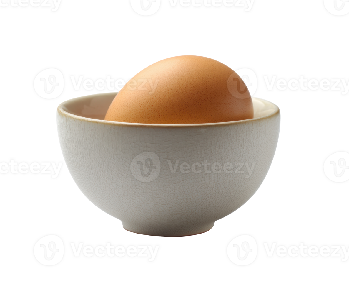 Brown egg resting in a simple ceramic bowl for cooking png