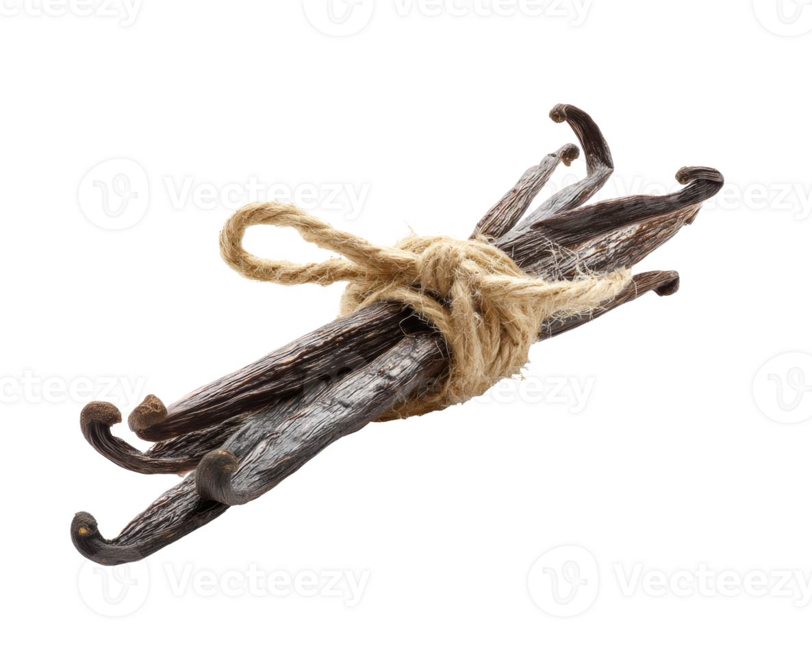 Natural vanilla pods tied with twine for culinary uses png