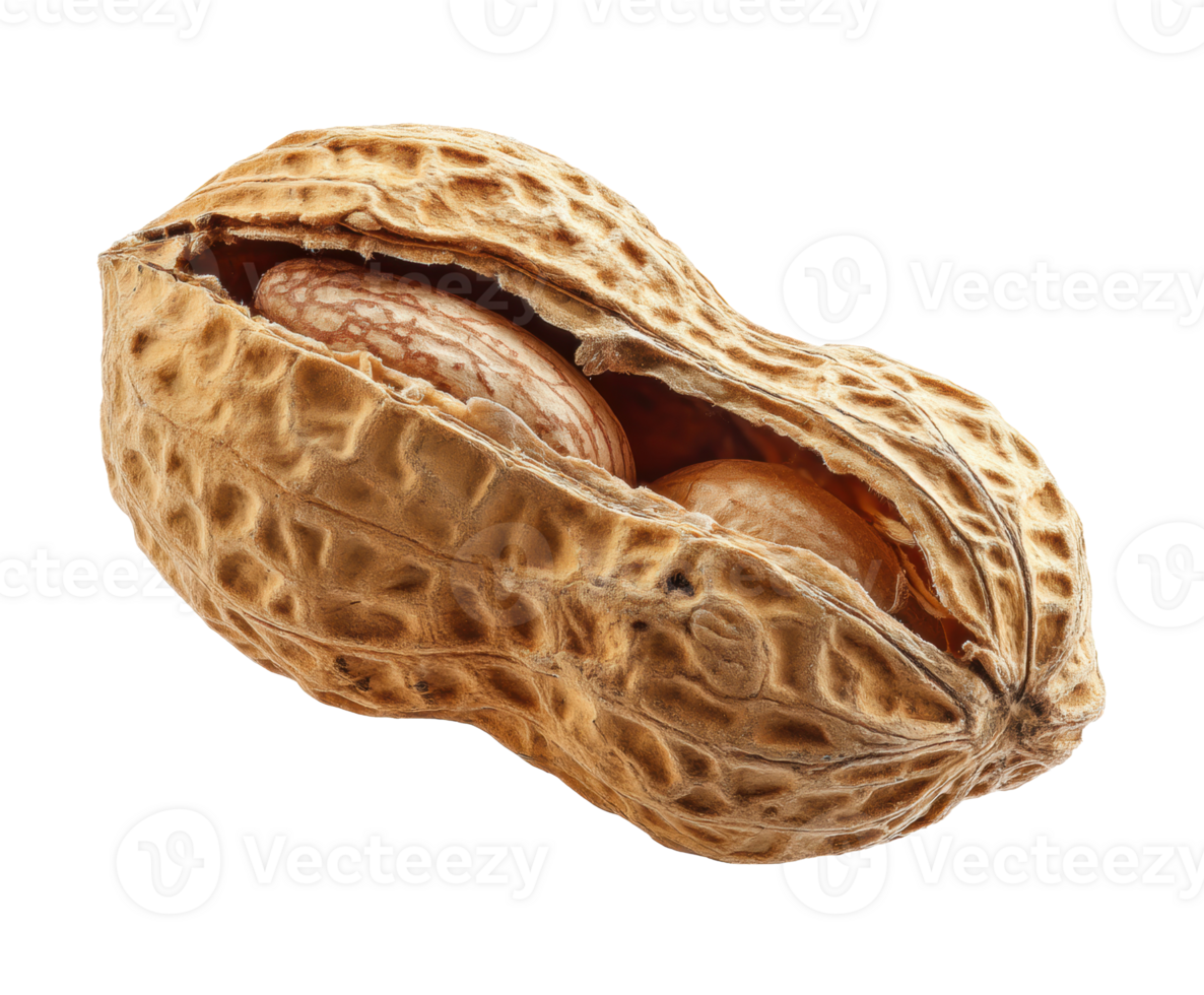 Peanuts in a shell ready for snacking or cooking use png