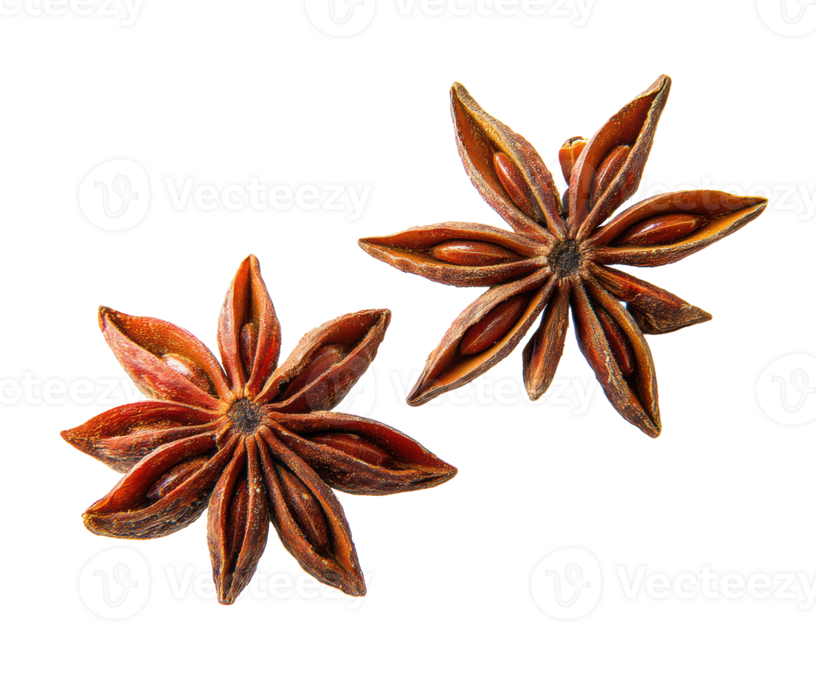 Star anise spice enhances flavor in cooking and baking png