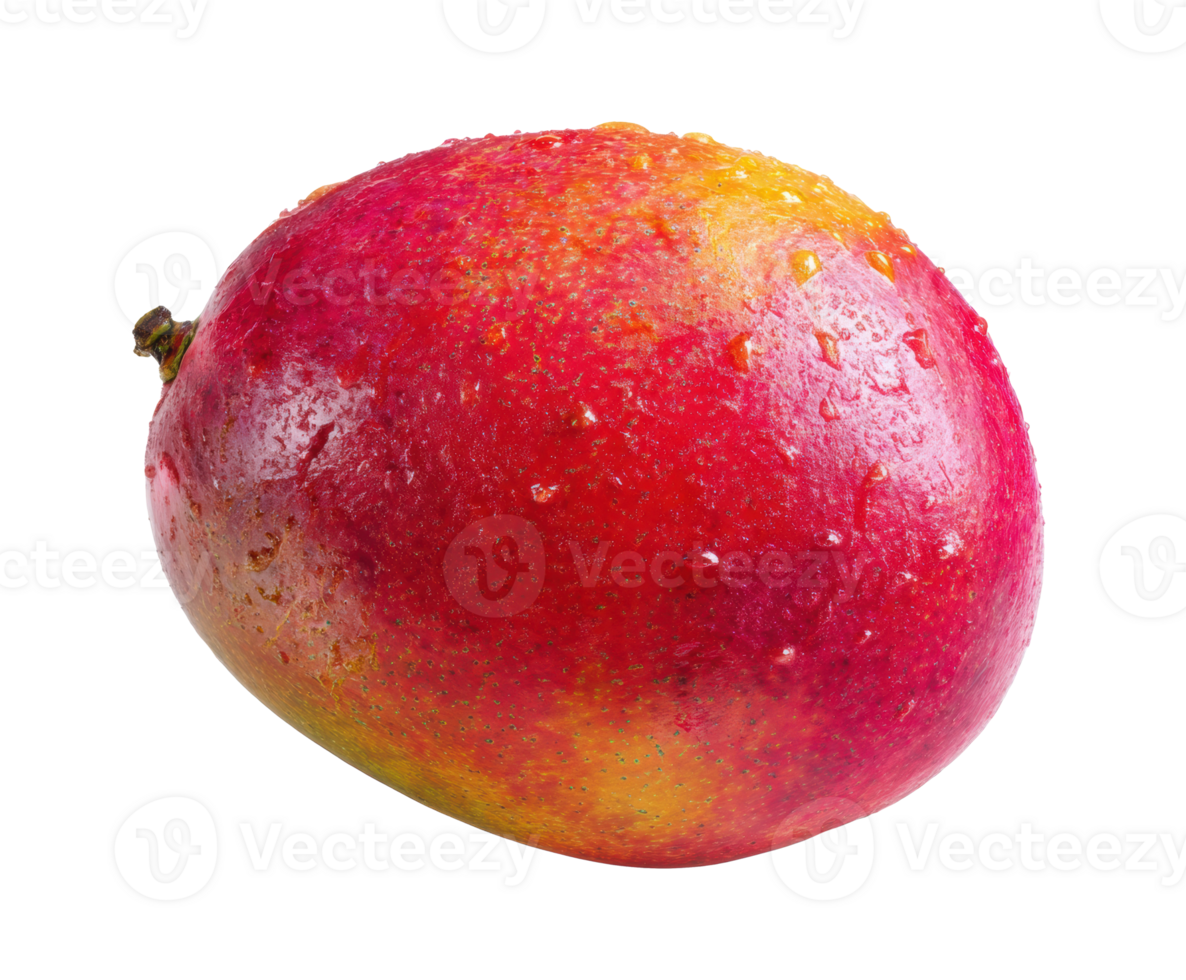 Fresh ripe mango with droplets of water on its surface png
