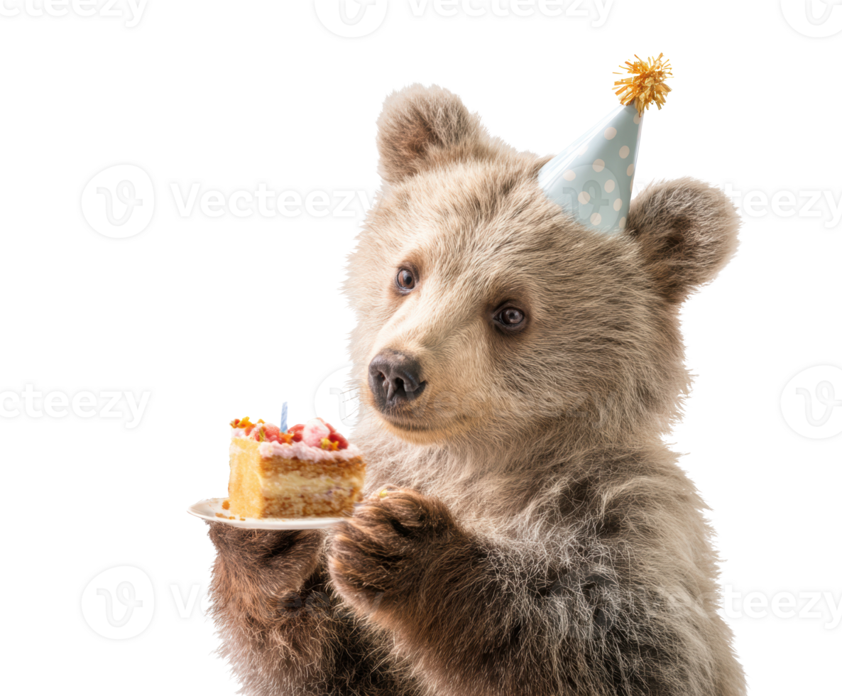 Cute bear celebrating birthday with cake and party hat png