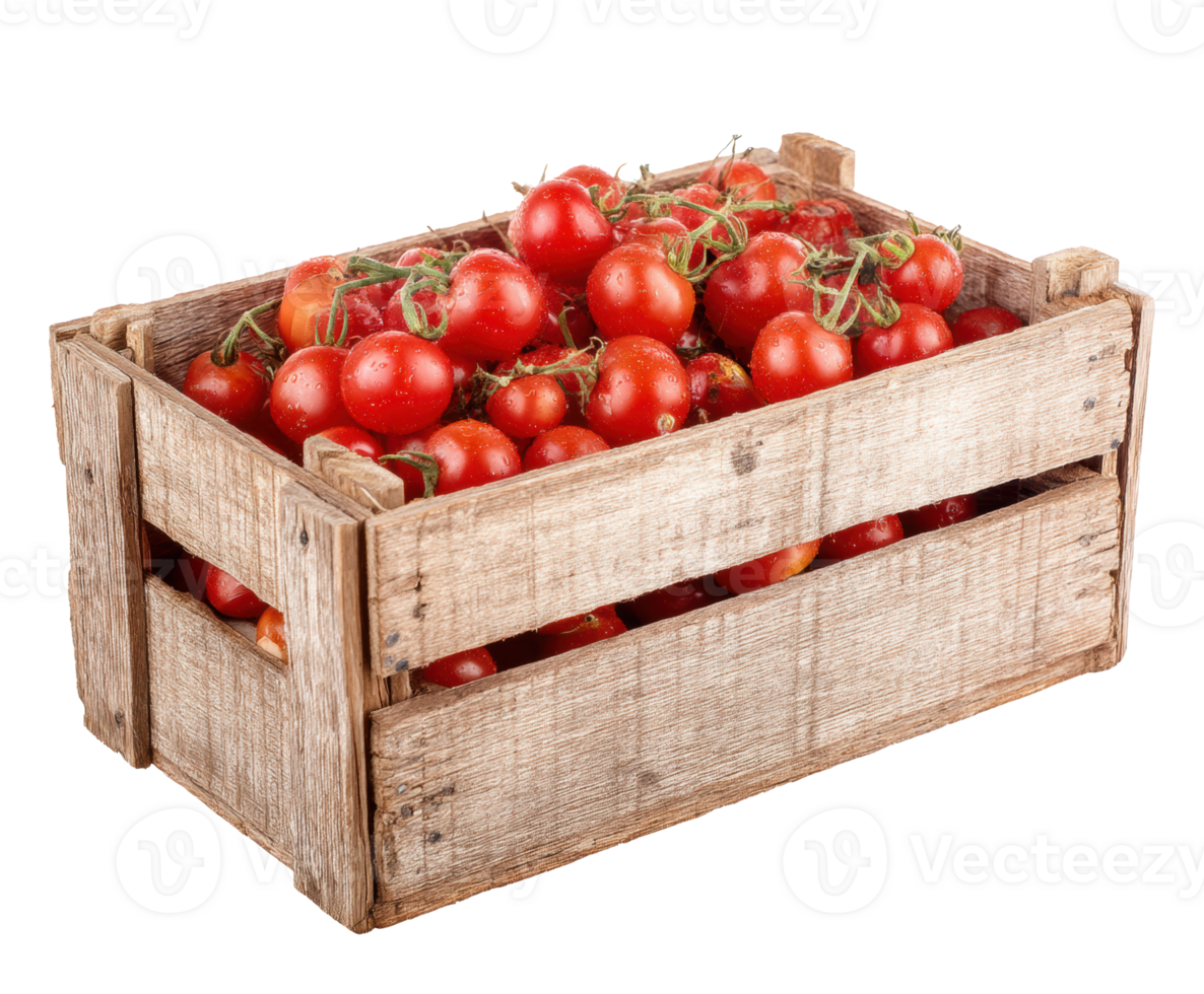 Freshly harvested cherry tomatoes in a rustic wooden crate png