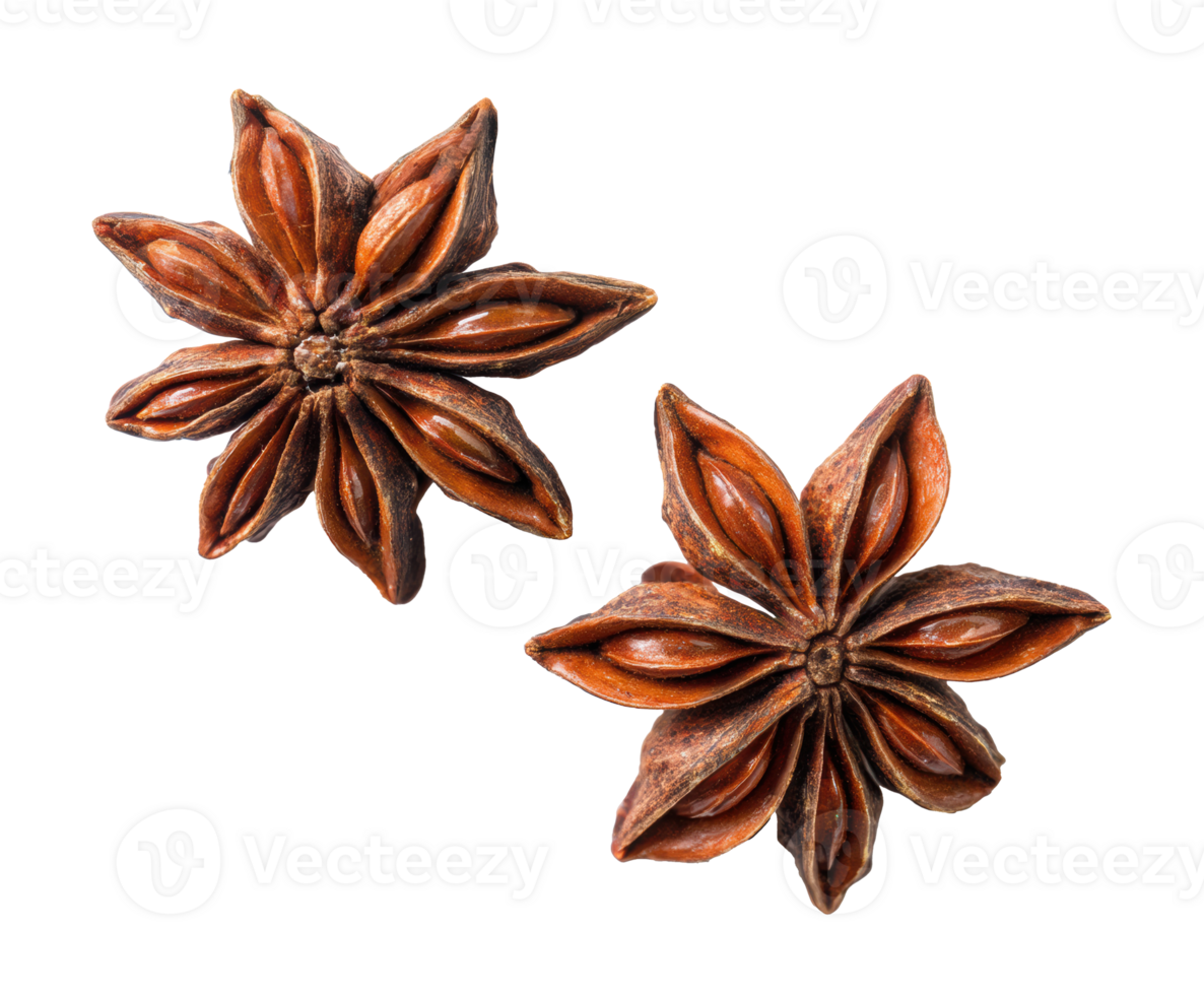 Star anise spice with unique floral shape for culinary use png