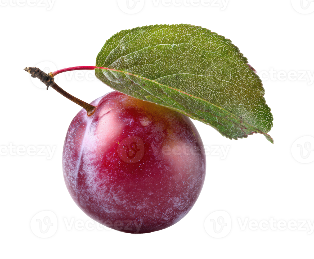 Fresh red plum with green leaf on a clean surface png