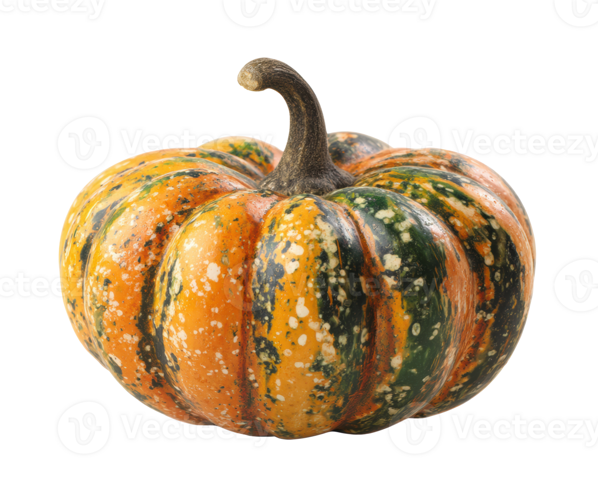 Autumn harvest pumpkin decoration for fall festivities png