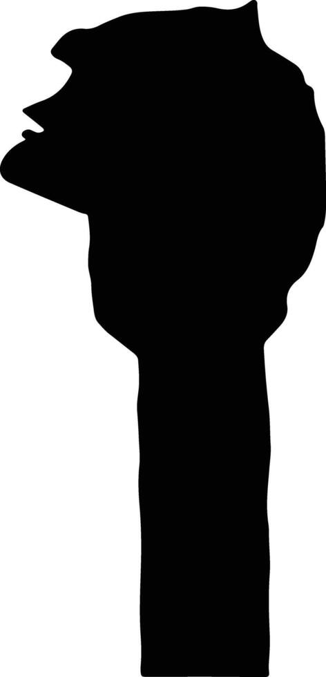 Damghan Iran silhouette map vector
