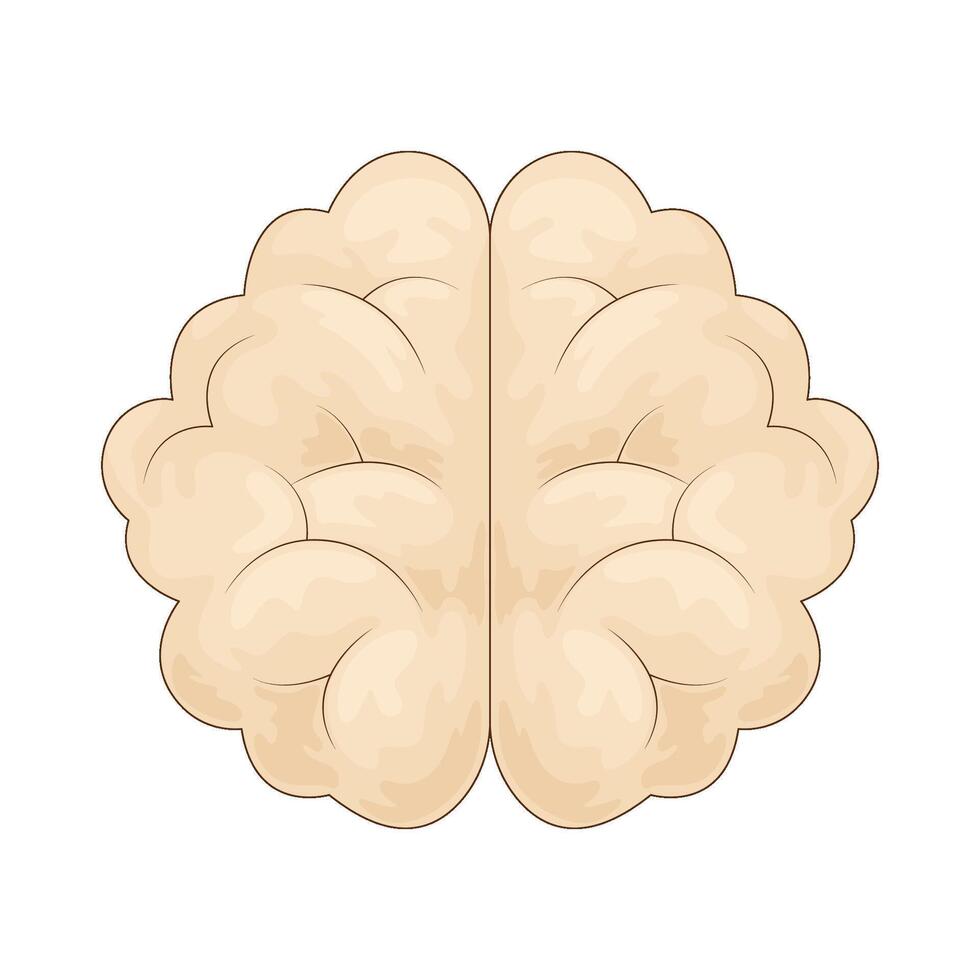 Biology human brain vector