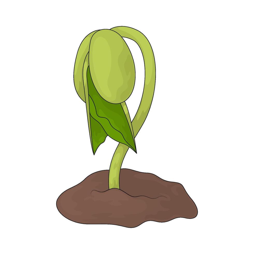 plant sprout illustrations vector