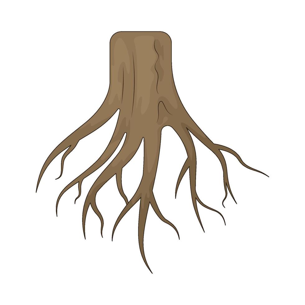 tree roots illustrations vector
