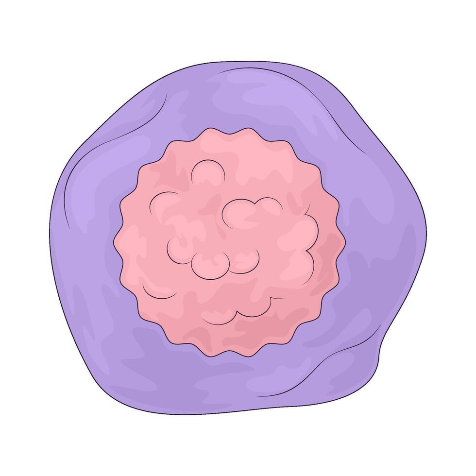 parts of human organs vector