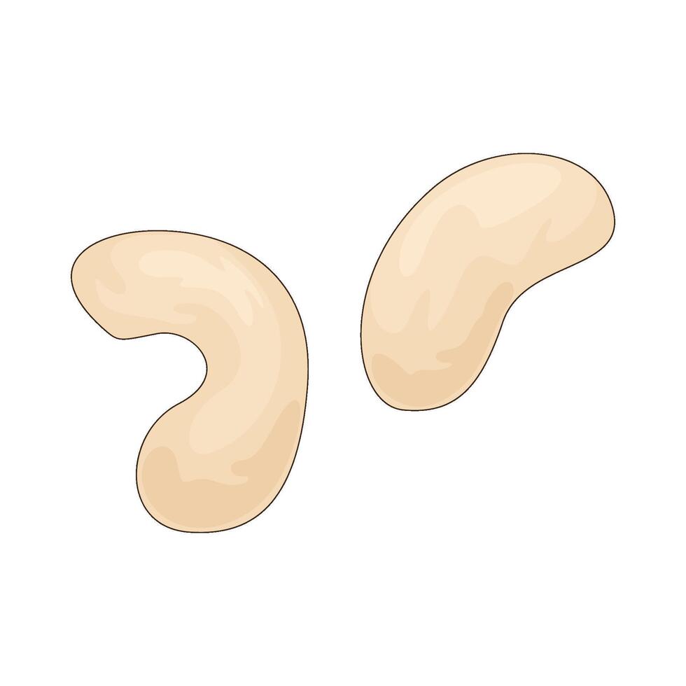 human organ parts vector