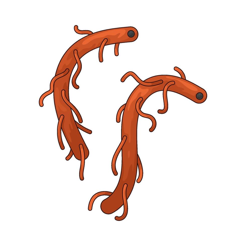 sea worm illustration vector
