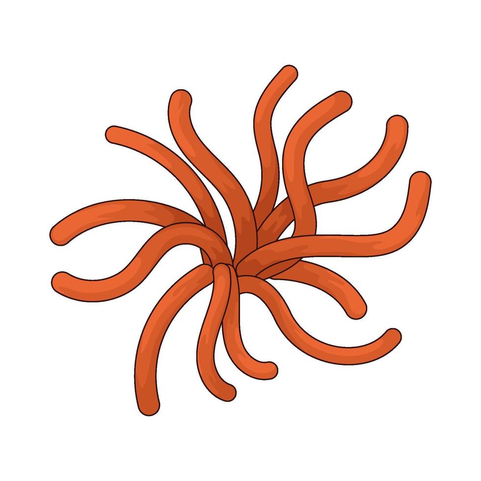 sea anemone illustration vector