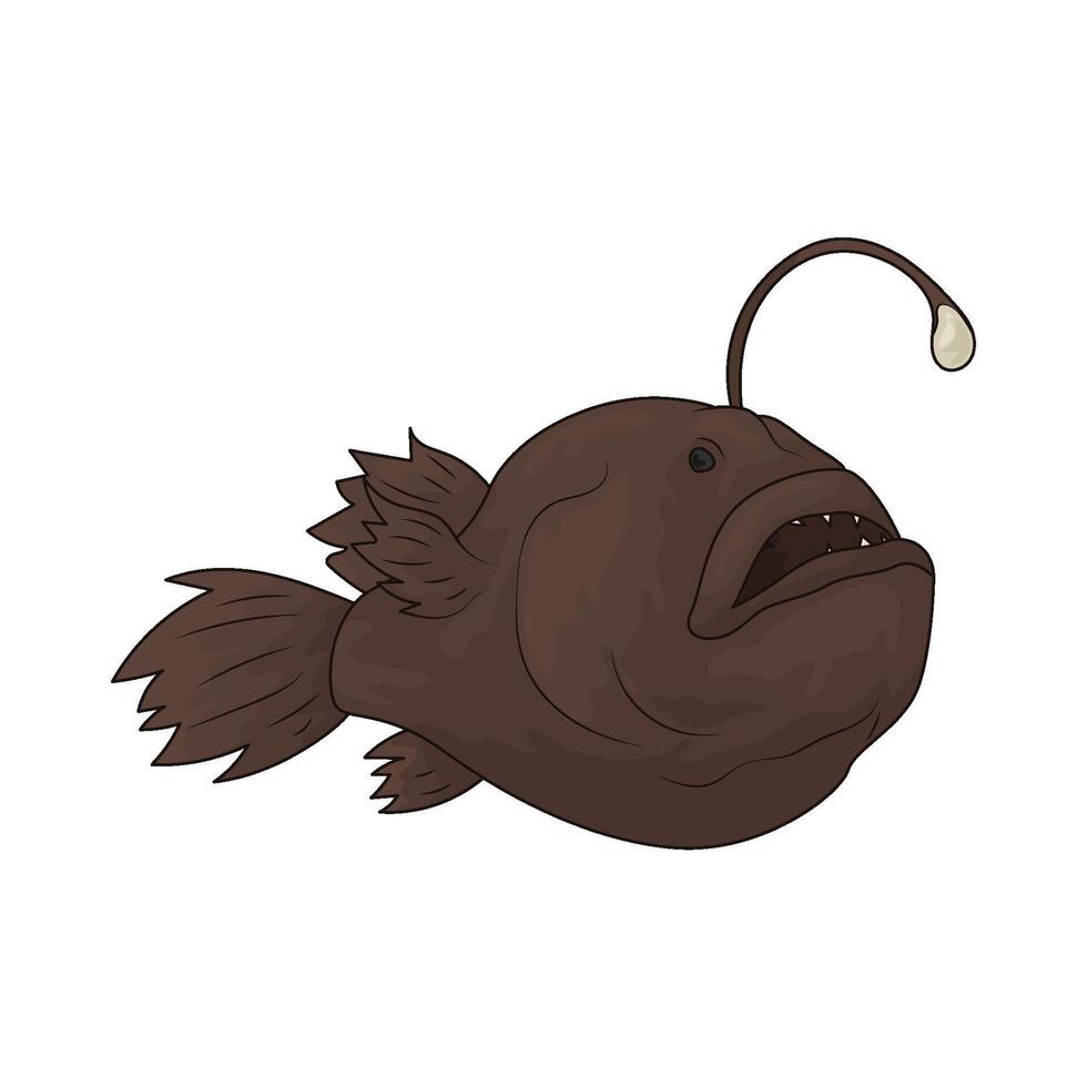 sea anglerfish illustration vector