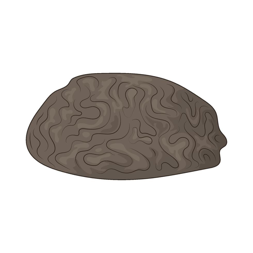 illustration of underwater stone vector